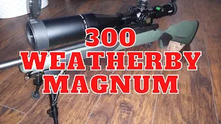 First Time Shooting The 300 Weatherby Magnum | Weatherby Vanguard Series 2