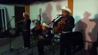 TRIO  ARMONIA HUASTECA  CACHITO DE LUNA