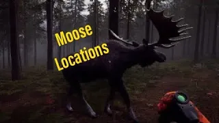 Hunting Simulator 2 - Moose Locations