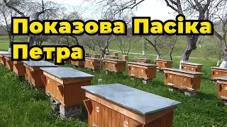 Скільки повинен коштувати бджолопакет з такої пасіки