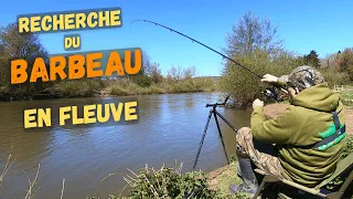 Where To Find Barbel When Fishing for Big Fish In The Meuse?