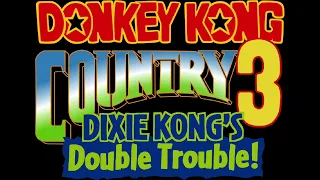 Cascade Capers - Donkey Kong Country 3: Dixie Kong's Double Trouble! (SNES) Music Extended