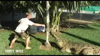 MAN VS CROCODILE  # 15 - CROCODILE MAN