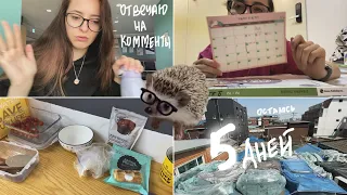 KOREA VLOG DIARY| купила юбку за 250р / до экзаменов осталось 5 дней | 2.05.2024