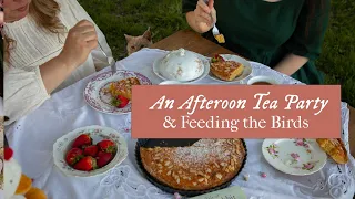 An Afternoon Tea, Frangipane Tart, and Feeding the Birds | Cottagecore | Slow Living Vlog