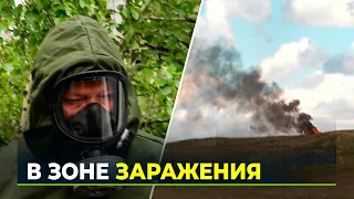 Погибли олени, заразились люди: на Ямале ликвидировали вспышку сибирской язвы