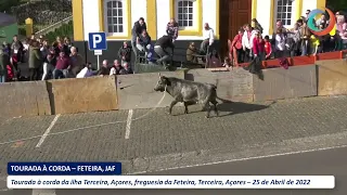 Tourada à corda na Feteira, Terceira, Açores - CAJAF, 25.04.2022