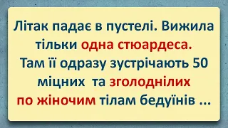 💠 Стюардеса та 50 Бедуїнів! Добірка Анекдотів Українською! Епізод #40