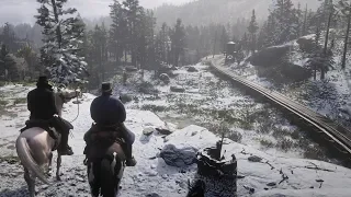 Red Dead Redemption 2 (RDR2) Free Roam gameplay showcase 1 - (PS4 Pro)