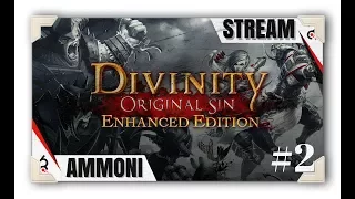 Divinity: Original Sin [Рейнджер]  Прохождение с озвучкой #2