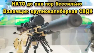 У НАТО нет ничего подобного Взломщик крупнокалиберная снайперская винтовка Драгунова СВДК видео