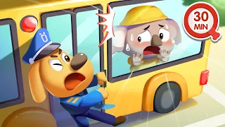 🐨Pequeño Koala Atrapado en el Autobús Escolar🥹 30MIN de Dibujos Animados🔍Sheriff Labrador en Español