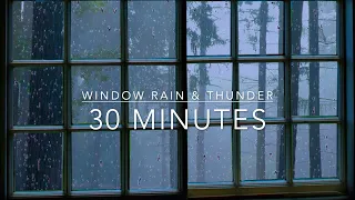 Rain and Thunder Sounds for Sleeping - 30 minutes Rain Sounds on Window - Rain on glass - ASMR