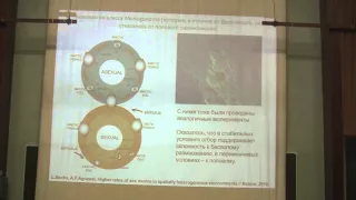 Теория эволюции. Марков А.В. Лекция 7. Часть 2.