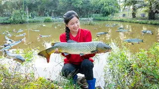 Harvesting FISH With Husband - 100 Days Building Life