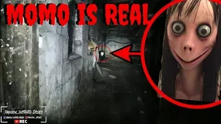 WARNING MOMO IS REAL ( We Was Terrified & Attacked ) Momo Challenge