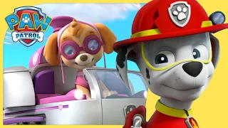 Marshall and Skye Save Adventure Bay and More Episodes! - PAW Patrol - Cartoons for Kids Compilation