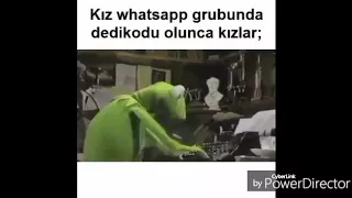 Muzikant Yasil Qurbaga Prikol