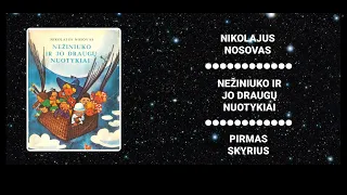 N.Nosovas  ,,Nežiniuko ir jo draugų nuotykiai'' l  Pirmas skyrius