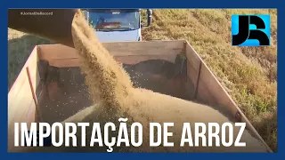 Governo publica no Diário Oficial medida que autoriza importação de arroz para amenizar perdas no RS