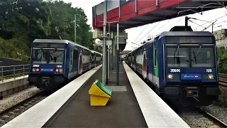 Nouvelle gare de Pierrefite-Stains - RER D, Intercités, TER, TGV, Thalys, Eurostar, Izy