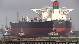 CRUDE OIL TANKER GULF LOYALTY DEPARTS SOUTHAMPTON DOCKS TODAY 08/04/24