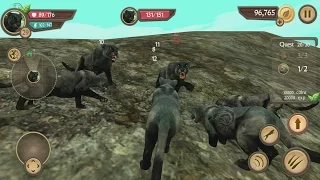 Wild Panther Sim 3D Android Gameplay #11