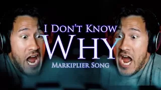 "I DON'T KNOW WHY" (Markiplier Remix) | Song by Endigo