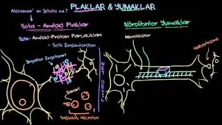 Alzheimer Hastalığı: Plaklar ve Yumaklar (Sağlık: Akıl Sağlığı) (Psikoloji / Akıl Sağlığı)