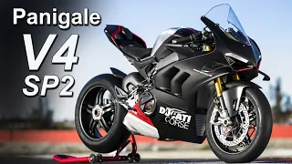 2022 Ducati Panigale V4 SP2 | New Model Overview