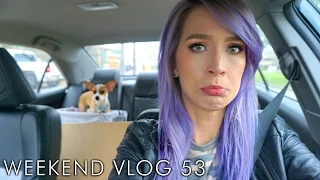 Leaving Luna For Willie Nelson | weekend vlog 53 | LeighAnnVlogs