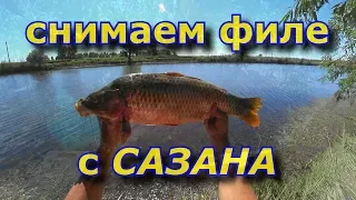 Как разделать сазана на филе с минимальными отходами. #астрахань #рыбалка #отпуск