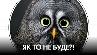 "Вагнергейт" є, а кіна не буде. Як правильно красти на держзакупівлях. Політична осінь | "Час Ч"