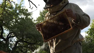 Slices of Poland: Mead Making in Podlachia