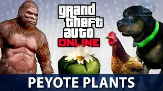 GTA Online - All 76 Peyote Plants Locations (Play as an Animal in GTA Online)