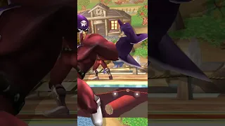 Captain Falcon's Lost Echo Fighter