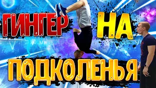 ГИНГЕР НА ПОДКОЛЕНЬЯ/ЗА 1 ТРЕНИРОВКУ/МОТИВАЦИЯ