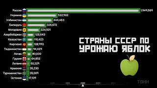 Страны бывшего СССР по урожаю ЯБЛОК.Статистика стран.Сравнение стран СНГ.Инфографика.Топ стран СССР