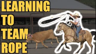 DALE LEARNS TO TEAM ROPE (team roping 101) - Rodeo Time 314