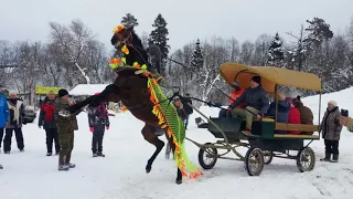 Царские берега-масленица 2018