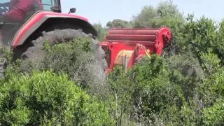 Tritasassi trinciatutto e fresa, spietramento  Cavalliecavalli Srl Sardegna