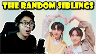 enhypen SungWon being the most random korean siblings during vlives reaction