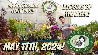 Best Blooms of the Week at Bountiful Gardens! - Don't Miss out on These GORGEOUS Flowering Plants!