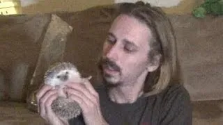 Pet Hedgehog? Watch This FIRST!