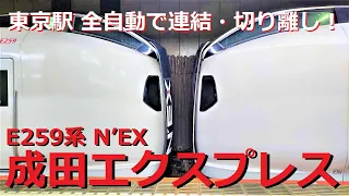 [E259 Series Narita Express] Connection and division work at Tokyo Station!