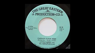 Little Buddy and the Sarsaparillas - Cabbage Pickin' Home, Canadian Country 45rpm c.1981