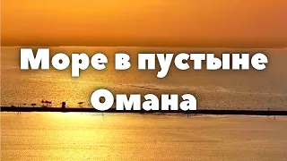 Пустыня в Оман превратилась в море! Искусственные засевы облаков в Саудовской Аравии