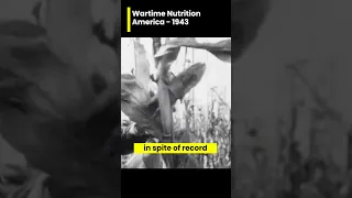 Wartime Nutrition (1943) | Old and Rare Footage #history #oldfootage #facts #america #wartime