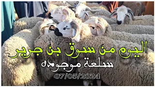 اليوم من سوق الثلاتاء بن جرير اقليم الرحامنة بتاريخ 07/05/2024 اتمنة الأغنام #عيد_الاضحى 🐑🐏