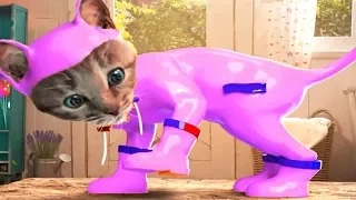 Fun Pet Animals Care Games - Little Kitten Adventure - Kids Learn Colors,Puzzles, Pet Costumes